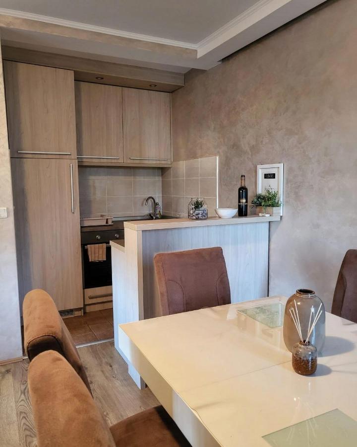 Apartman Crown Vrnjacka Banja Ngoại thất bức ảnh