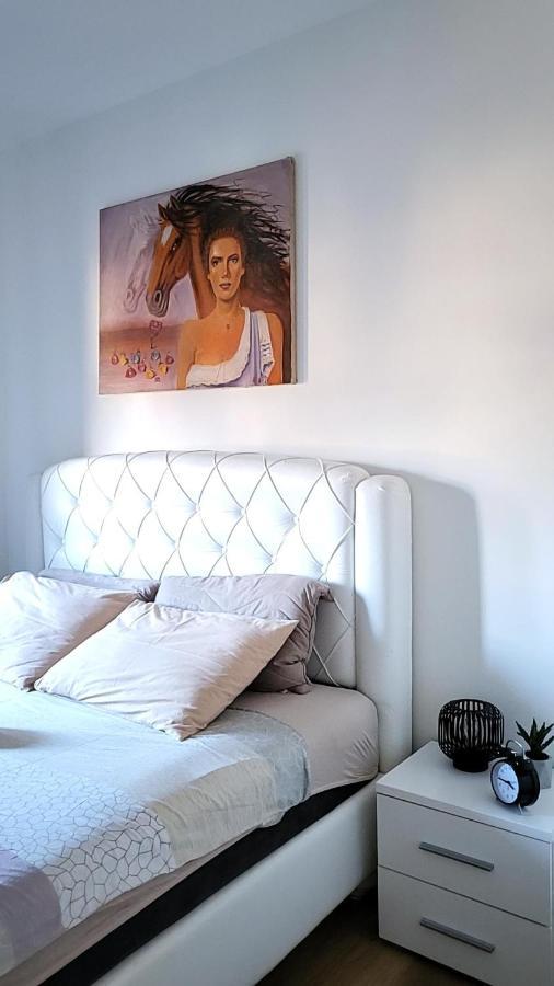 Apartman Crown Vrnjacka Banja Ngoại thất bức ảnh
